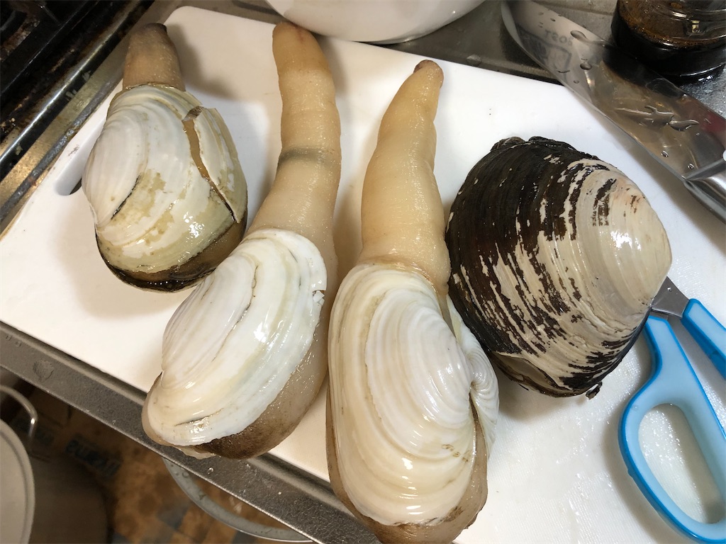 f:id:negineesan:20201127031958j:image f:id:negineesan:20201127031958j:image