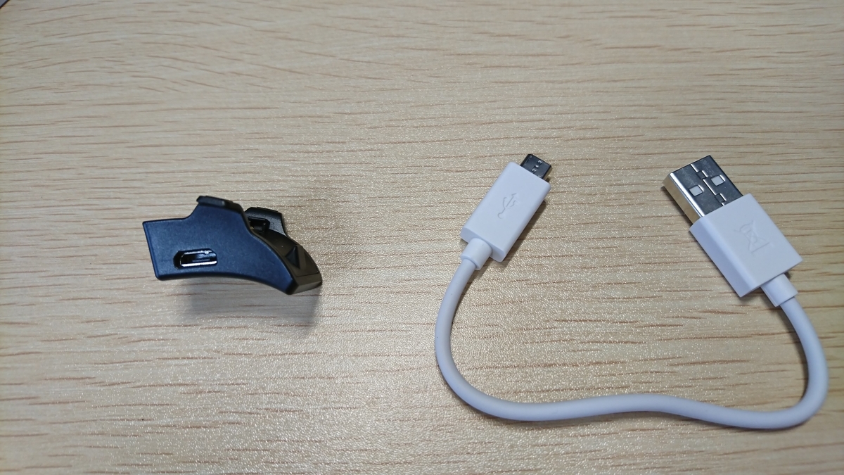 f:id:neginegitoro:20210601205541j:plain