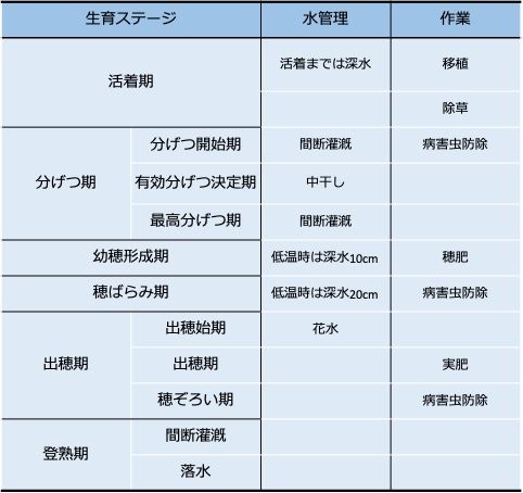 f:id:neginegitoro:20210606192924j:plain