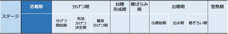 f:id:neginegitoro:20210606210540j:plain