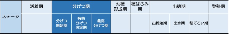 f:id:neginegitoro:20210606210609j:plain