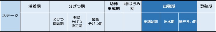 f:id:neginegitoro:20210606210648j:plain