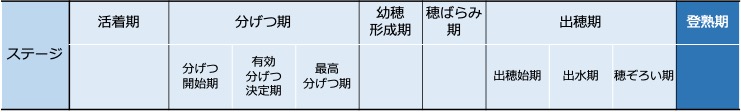 f:id:neginegitoro:20210606210703j:plain