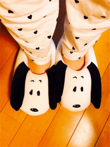 f:id:neginuitekudasai:20180121014355j:image f:id:neginuitekudasai:20180121014355j:image
