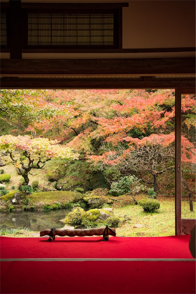 f:id:negiphoto326:20171128212259j:image