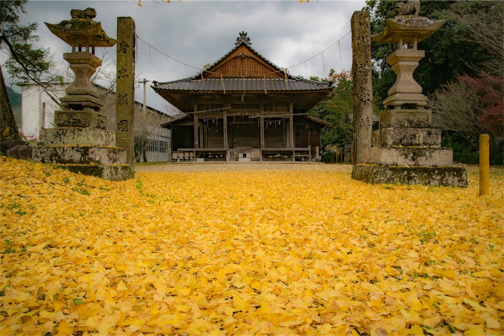 f:id:negiphoto326:20171128212405j:image f:id:negiphoto326:20171128212405j:image