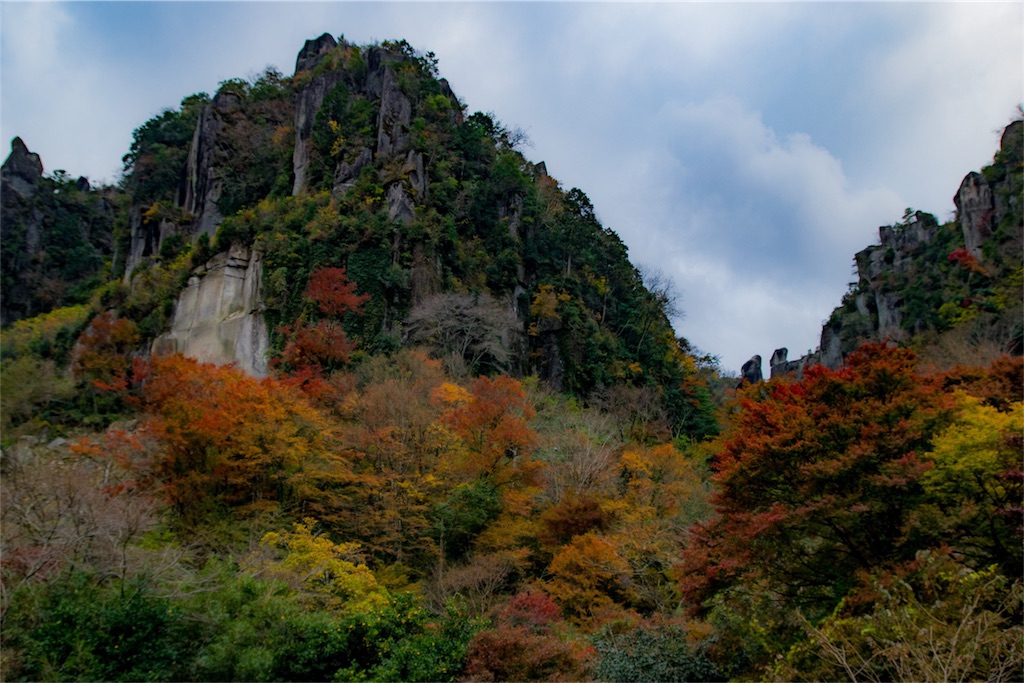 f:id:negiphoto326:20171128212448j:image f:id:negiphoto326:20171128212448j:image