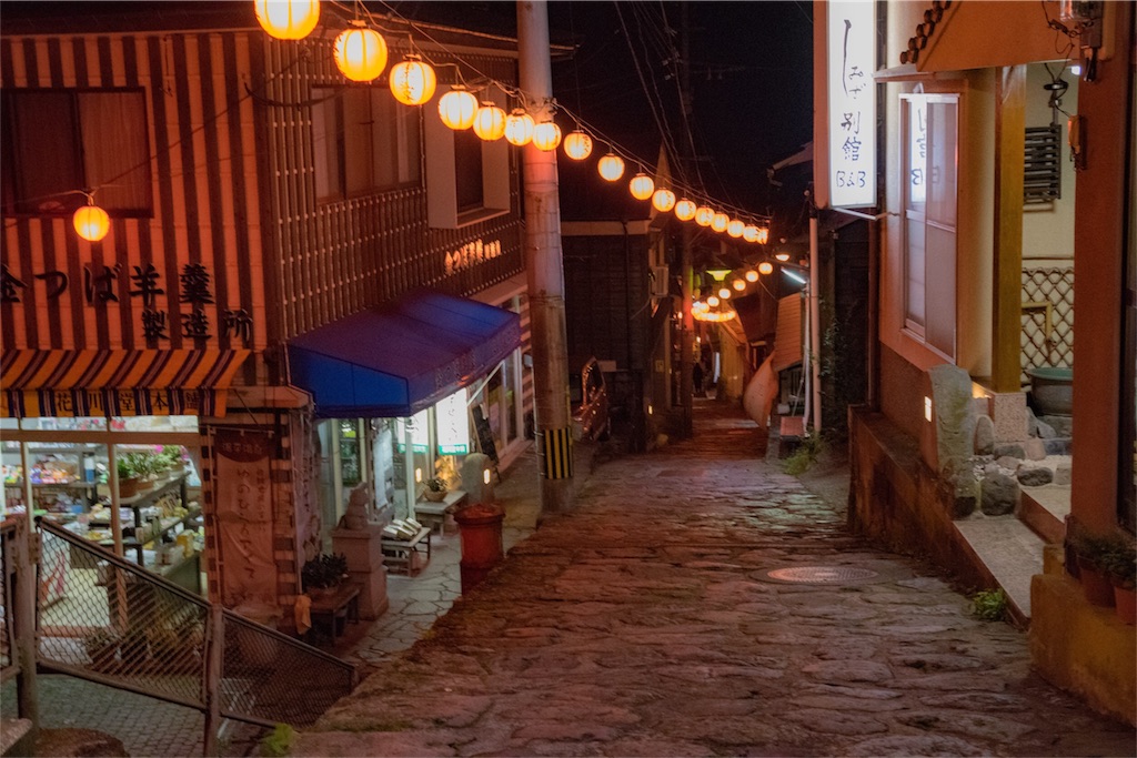 f:id:negiphoto326:20171128212514j:image f:id:negiphoto326:20171128212514j:image