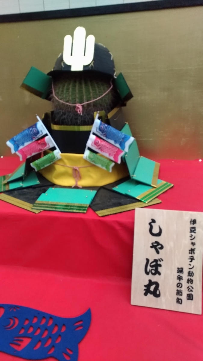 f:id:negisenseikamo:20190429022114j:plain