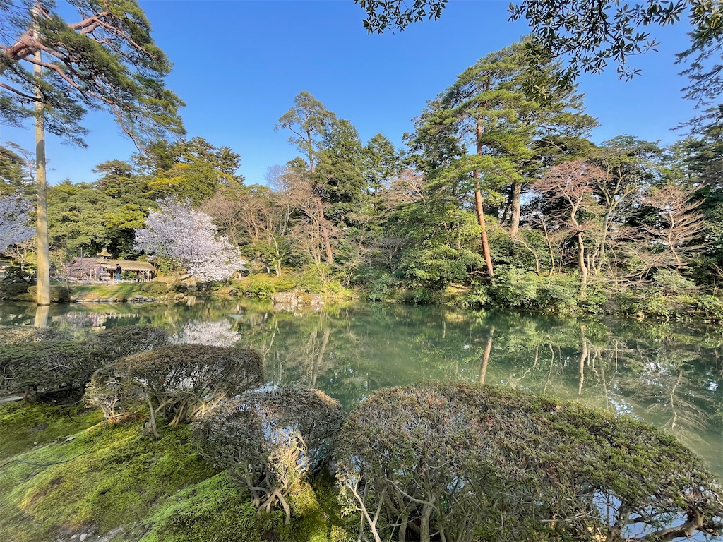f:id:negishiso:20210329022543j:image
