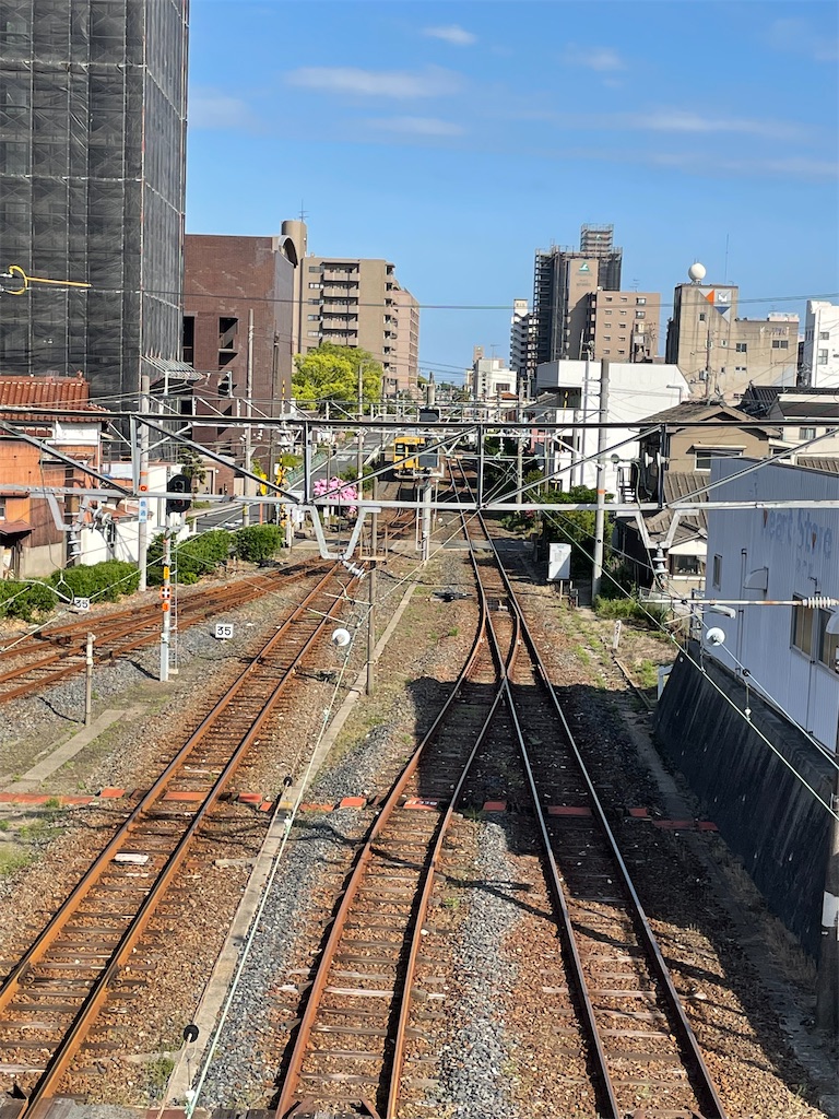 f:id:negishiso:20220501132514j:image