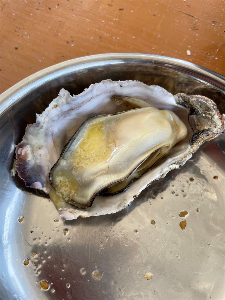 f:id:negishiso:20220501132702j:image