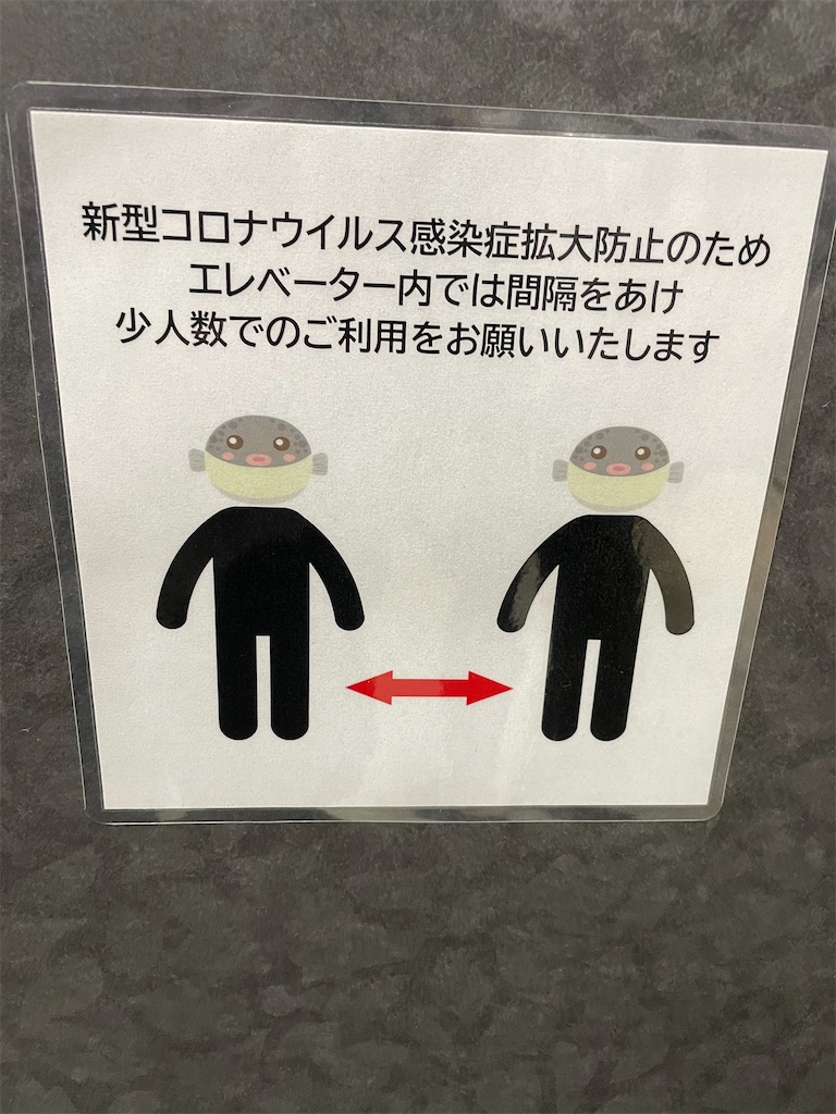 f:id:negishiso:20220501132919j:image