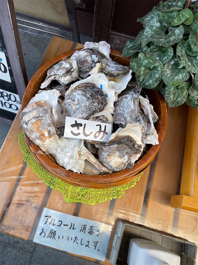 f:id:negishiso:20220503092007j:image