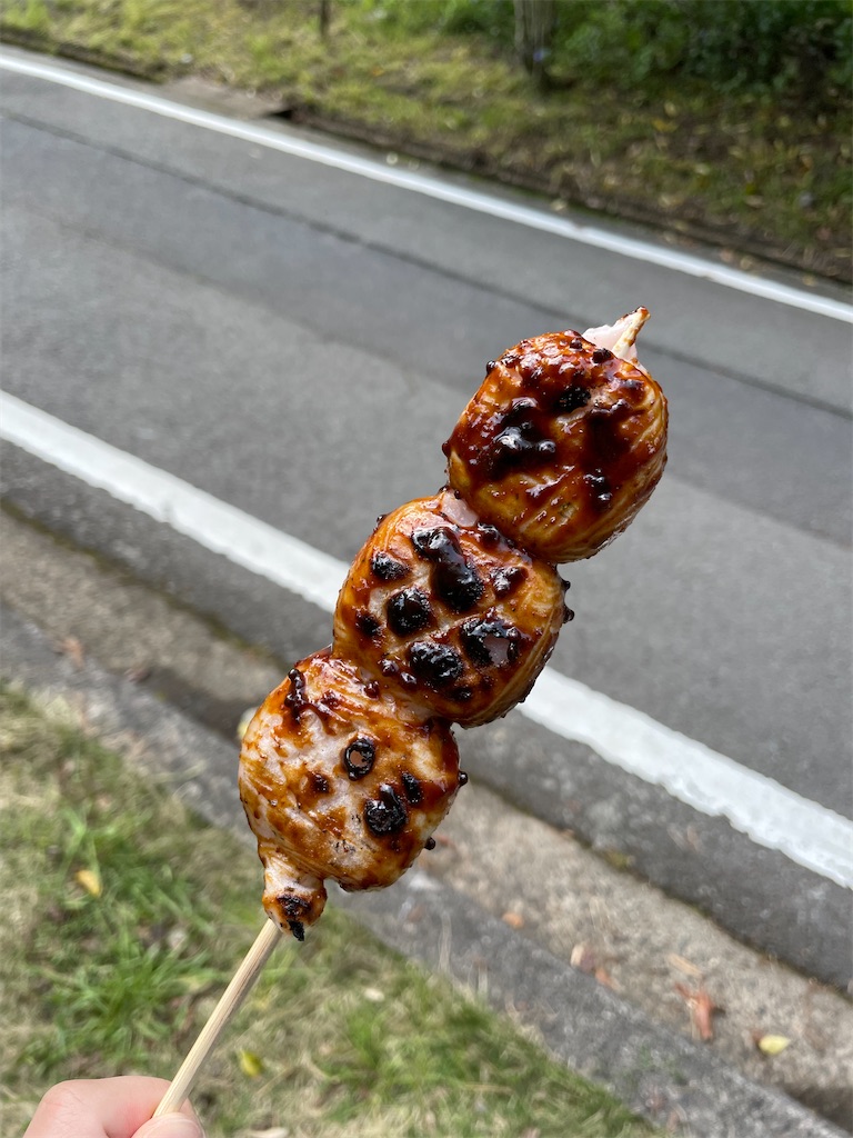 f:id:negishiso:20220503092010j:image