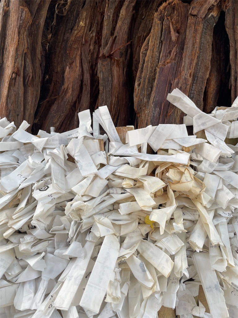 f:id:negishiso:20220503092017j:image