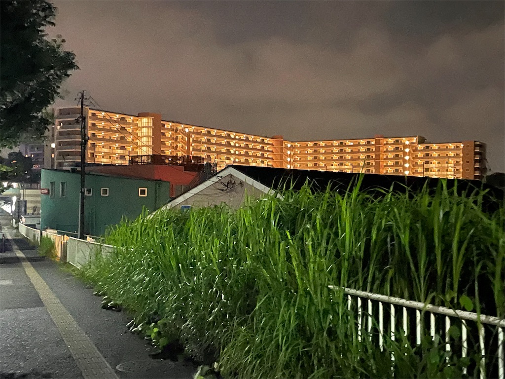 f:id:negishiso:20230626190654j:image