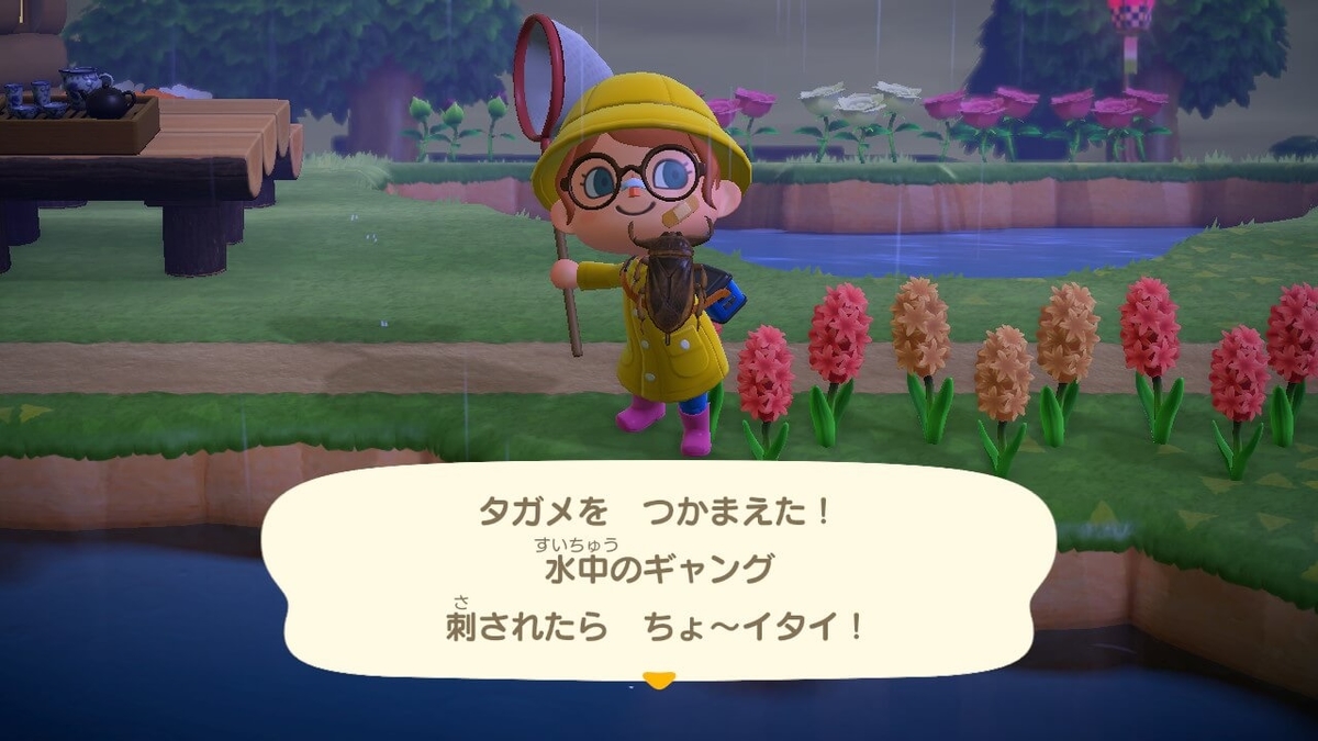 f:id:negitoro824:20200421062332j:plain