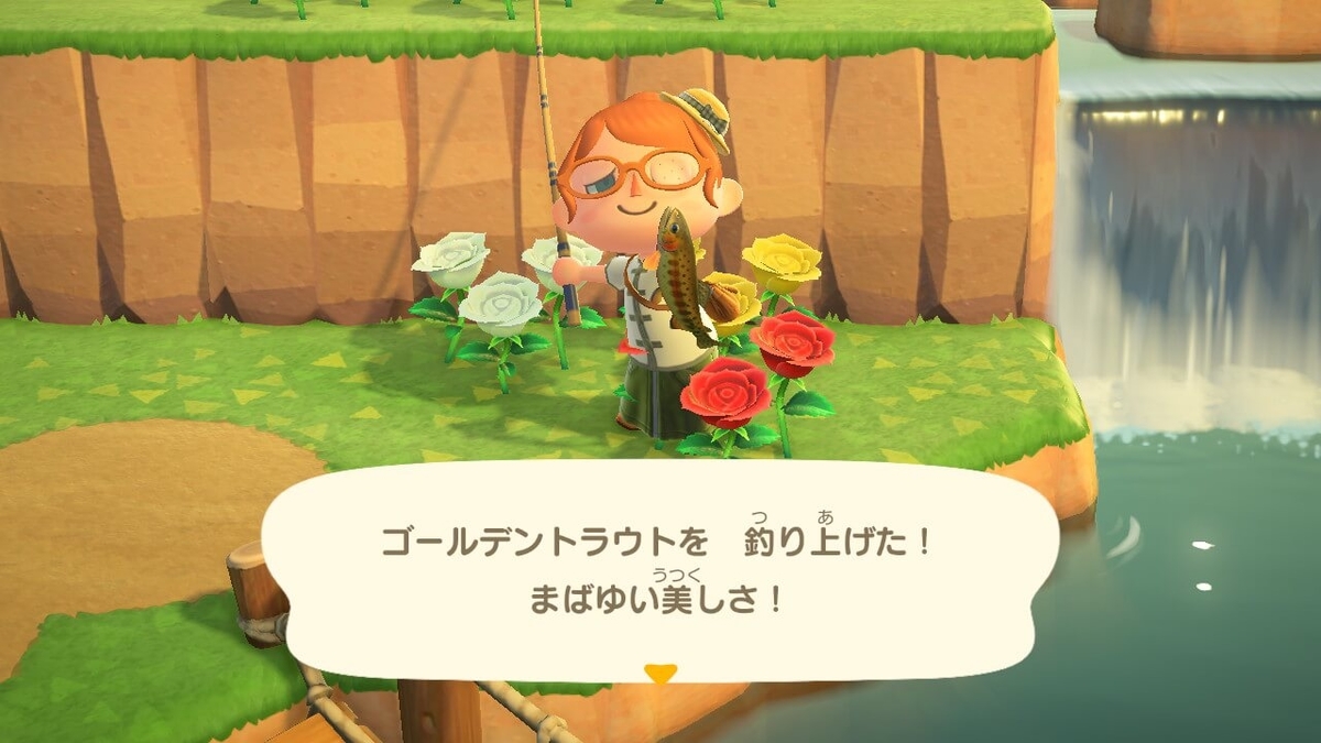 f:id:negitoro824:20200423055050j:plain