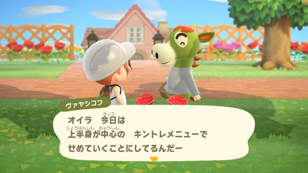 f:id:negitoro824:20200509061339j:plain