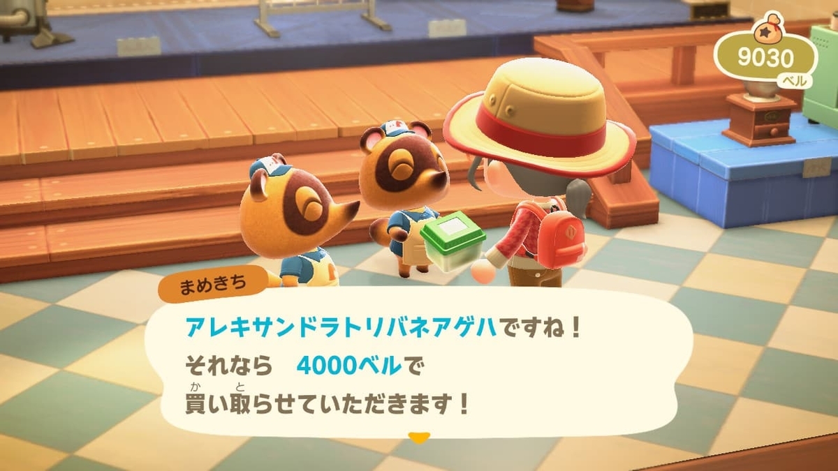 f:id:negitoro824:20200514053629j:plain
