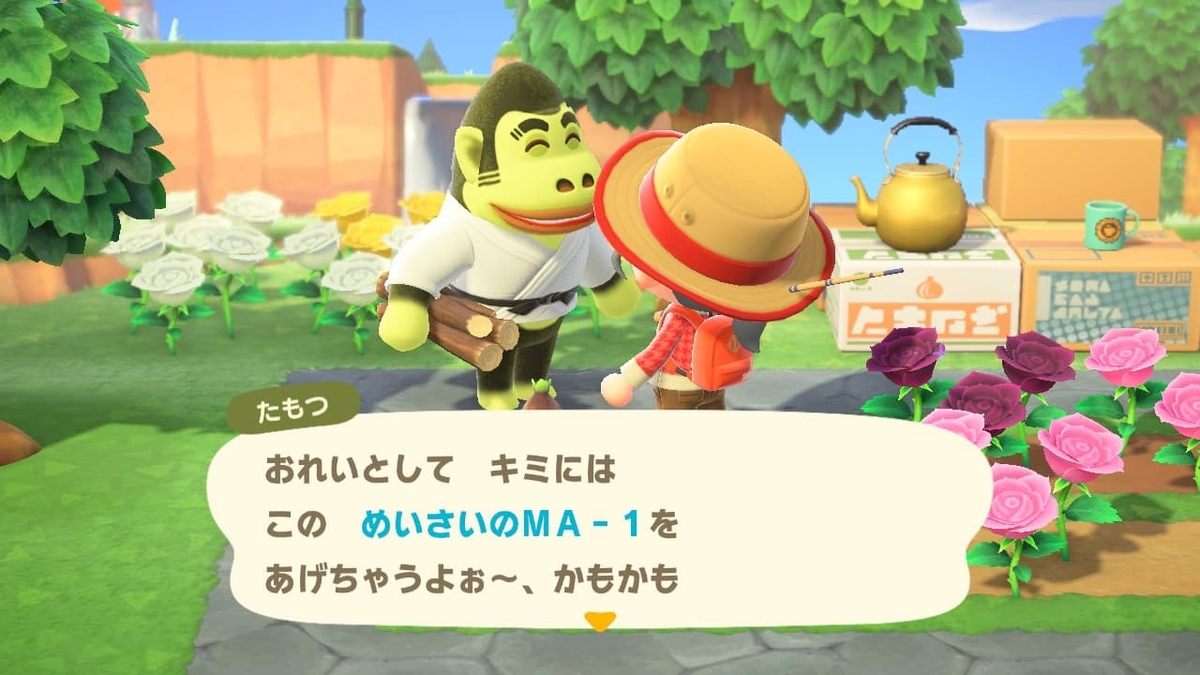 f:id:negitoro824:20200514053639j:plain