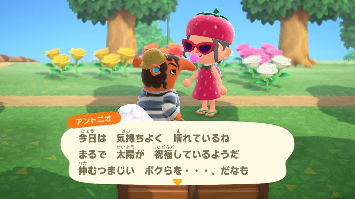 f:id:negitoro824:20200517045821j:plain