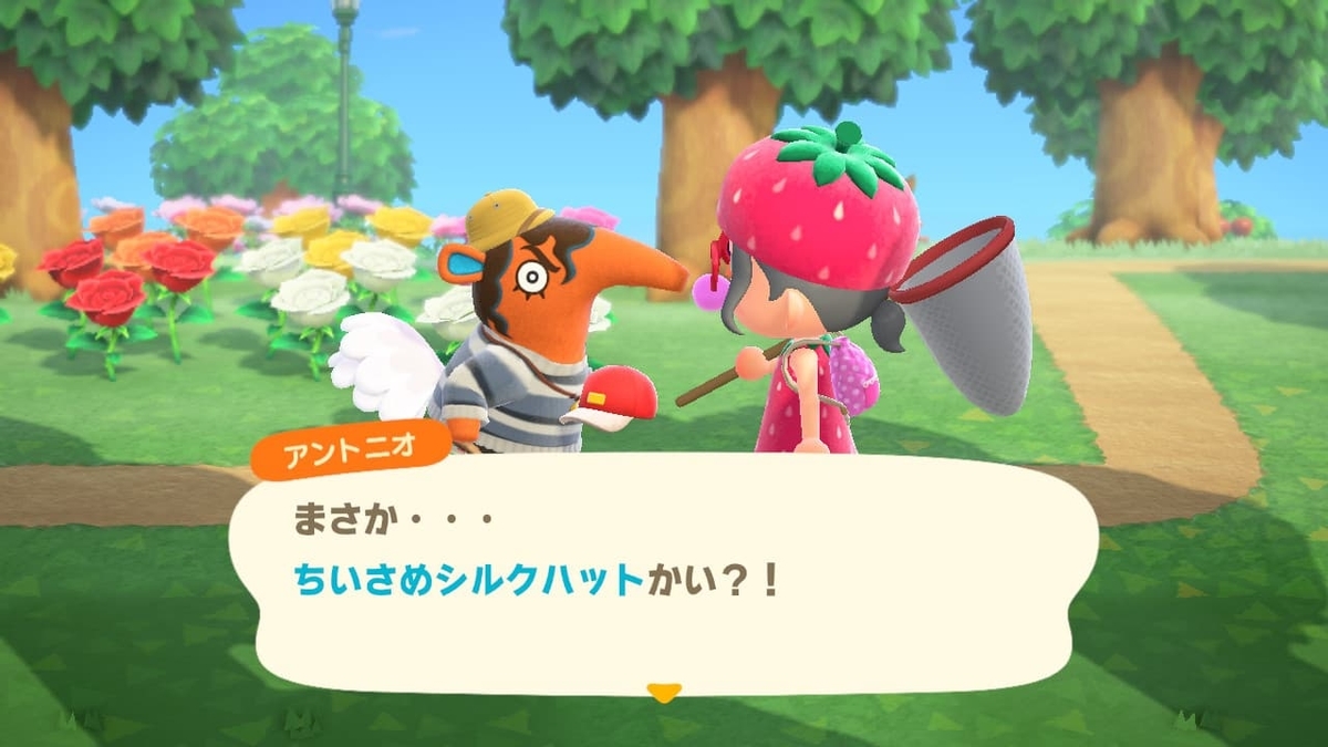 f:id:negitoro824:20200517045825j:plain