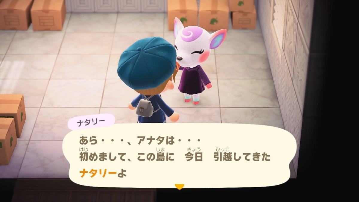 f:id:negitoro824:20201229074627j:plain
