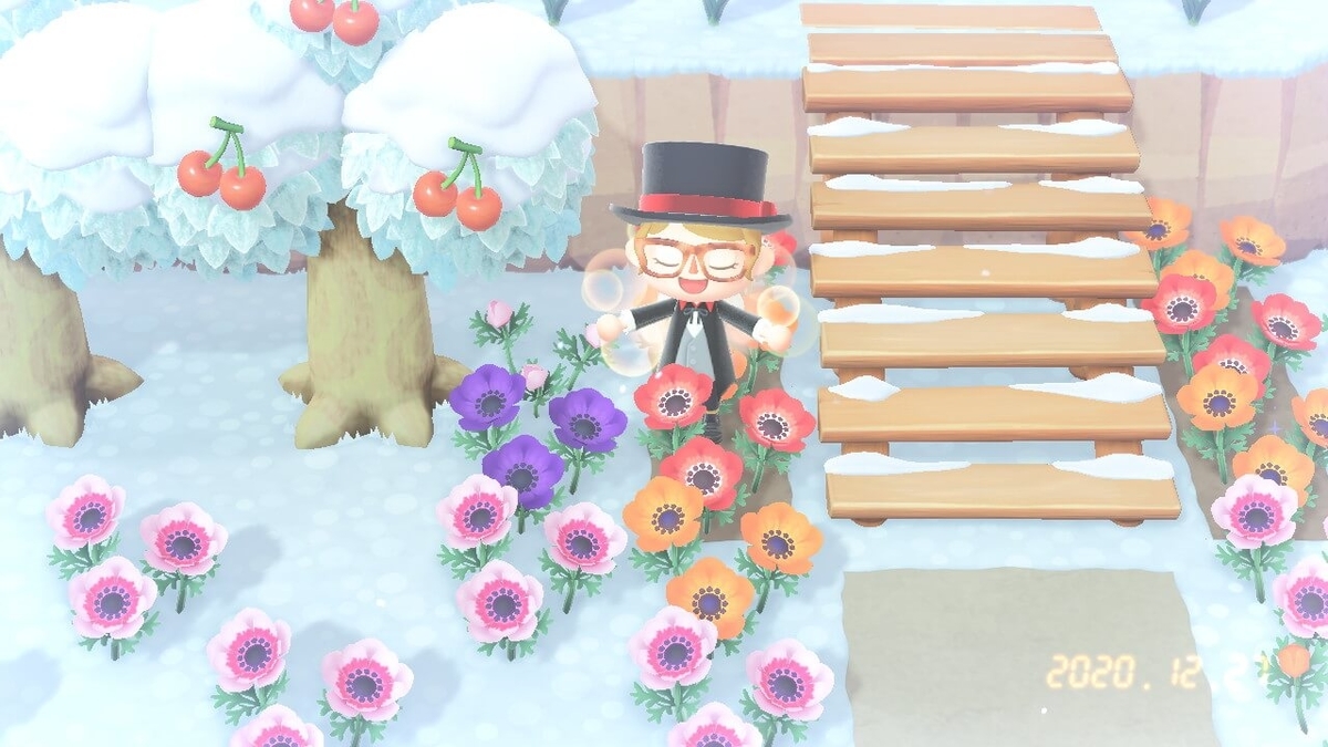f:id:negitoro824:20201229084532j:plain