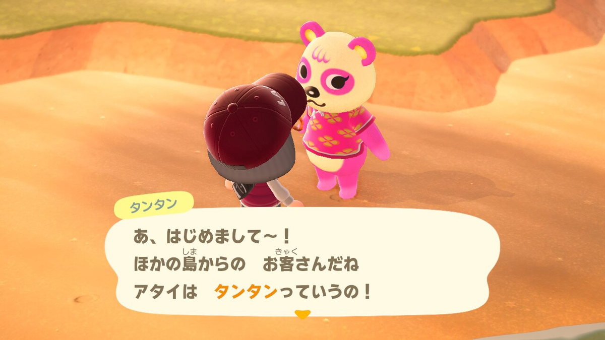 あつ森 いろいろありすぎ問題 後編 ねぎもりゲームズ