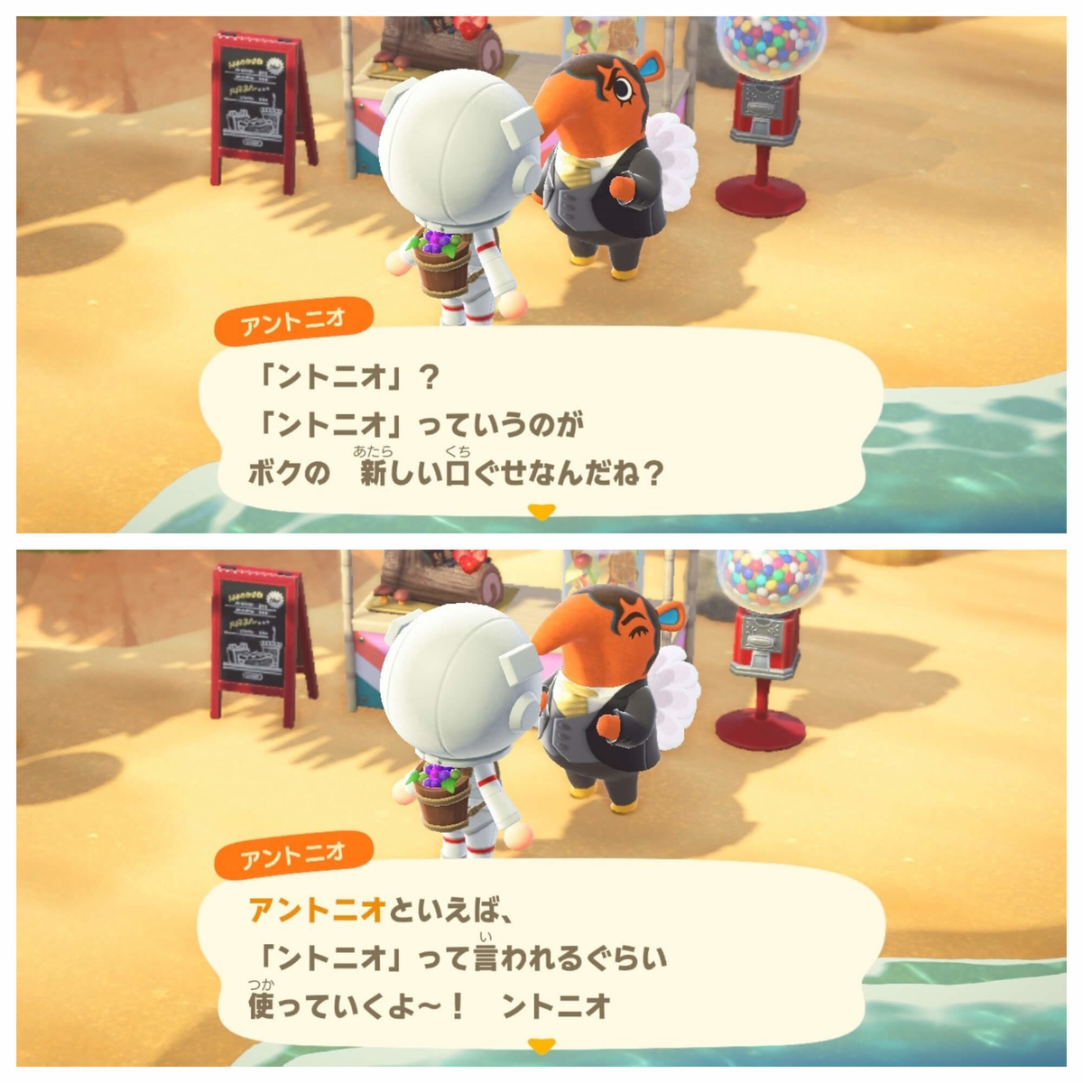 f:id:negitoro824:20211103065032j:plain