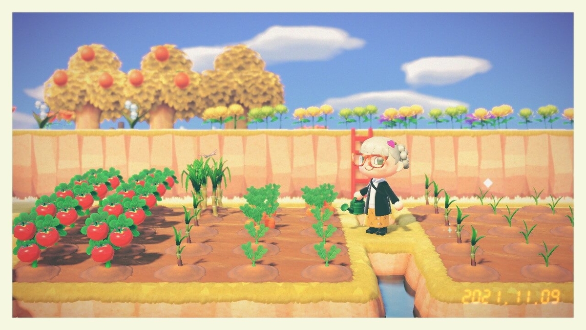 f:id:negitoro824:20211111062243j:plain