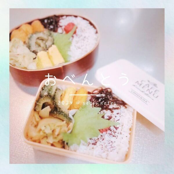 藤井弁当】UMIC ルミエール 19×14cm 卵焼き器を使ってみた感想 - Negi