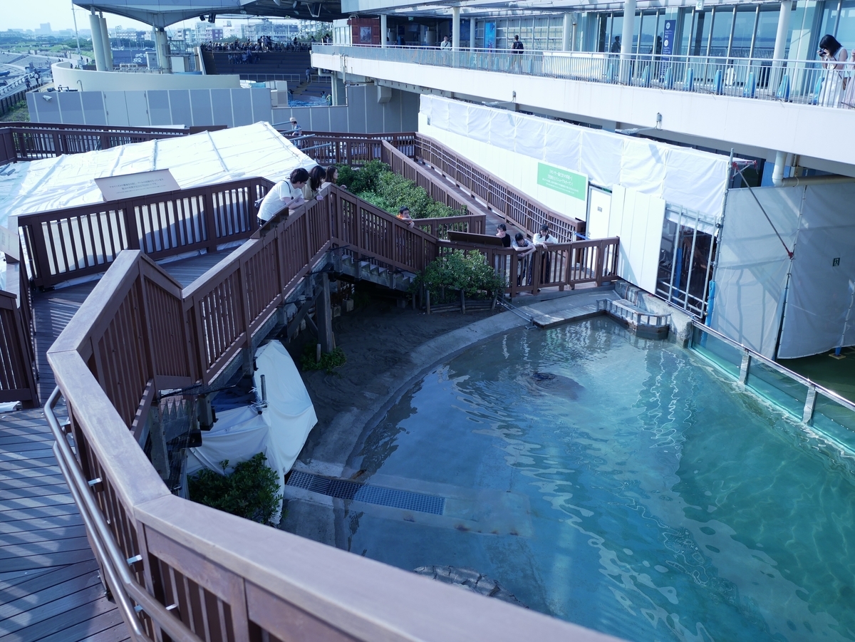 f:id:negototsukasa:20190607190520j:plain