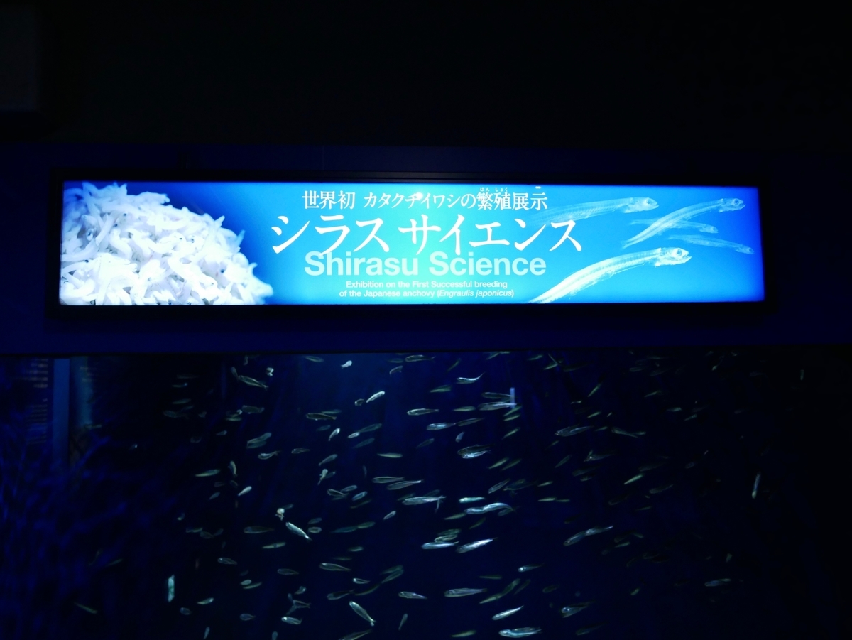 f:id:negototsukasa:20190607215703j:plain