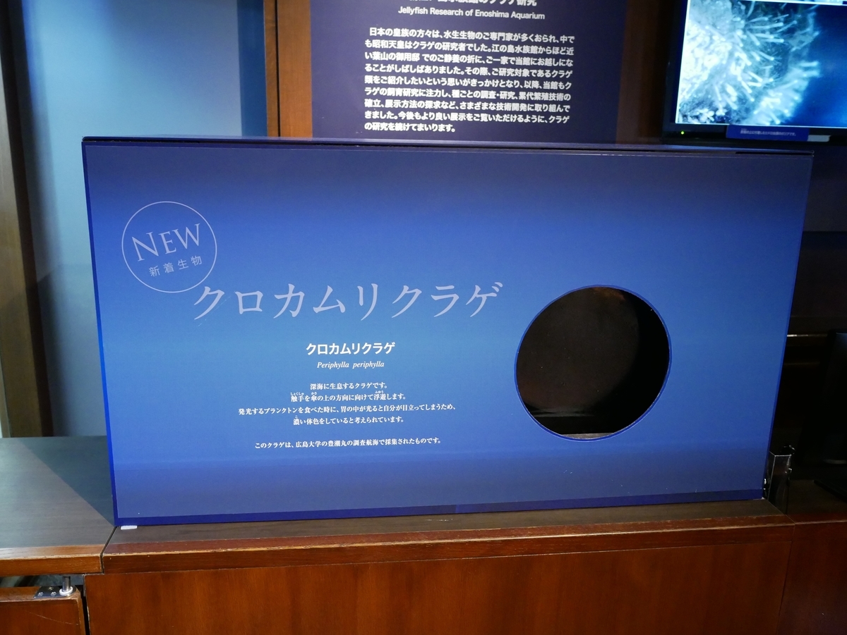 f:id:negototsukasa:20190607215753j:plain