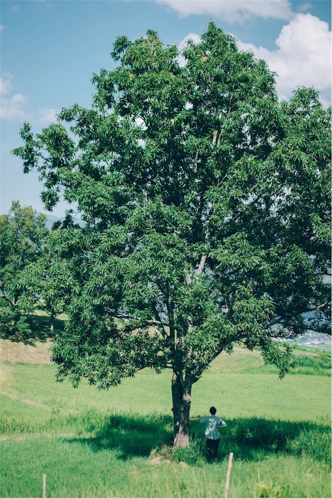 f:id:neguseboya:20180819184828j:image