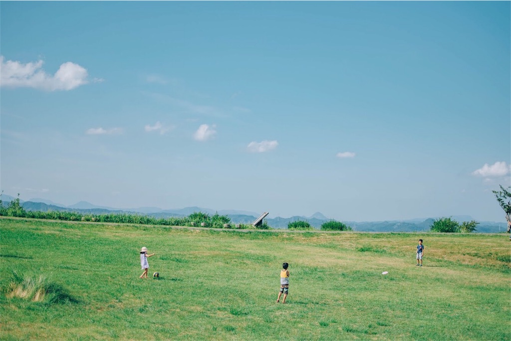 f:id:neguseboya:20180819185111j:image