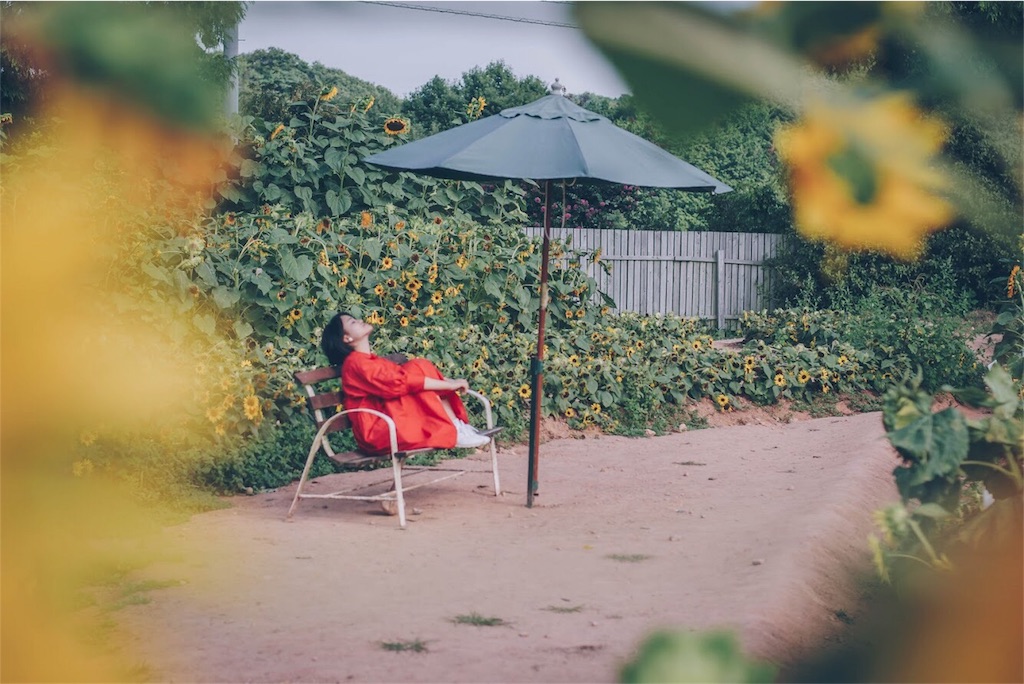 f:id:neguseboya:20180831205817j:image