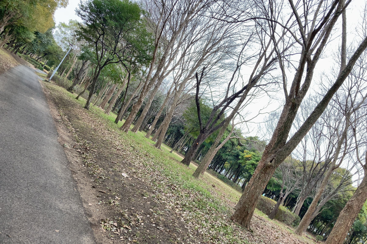 f:id:nehanariake:20210304170926j:plain