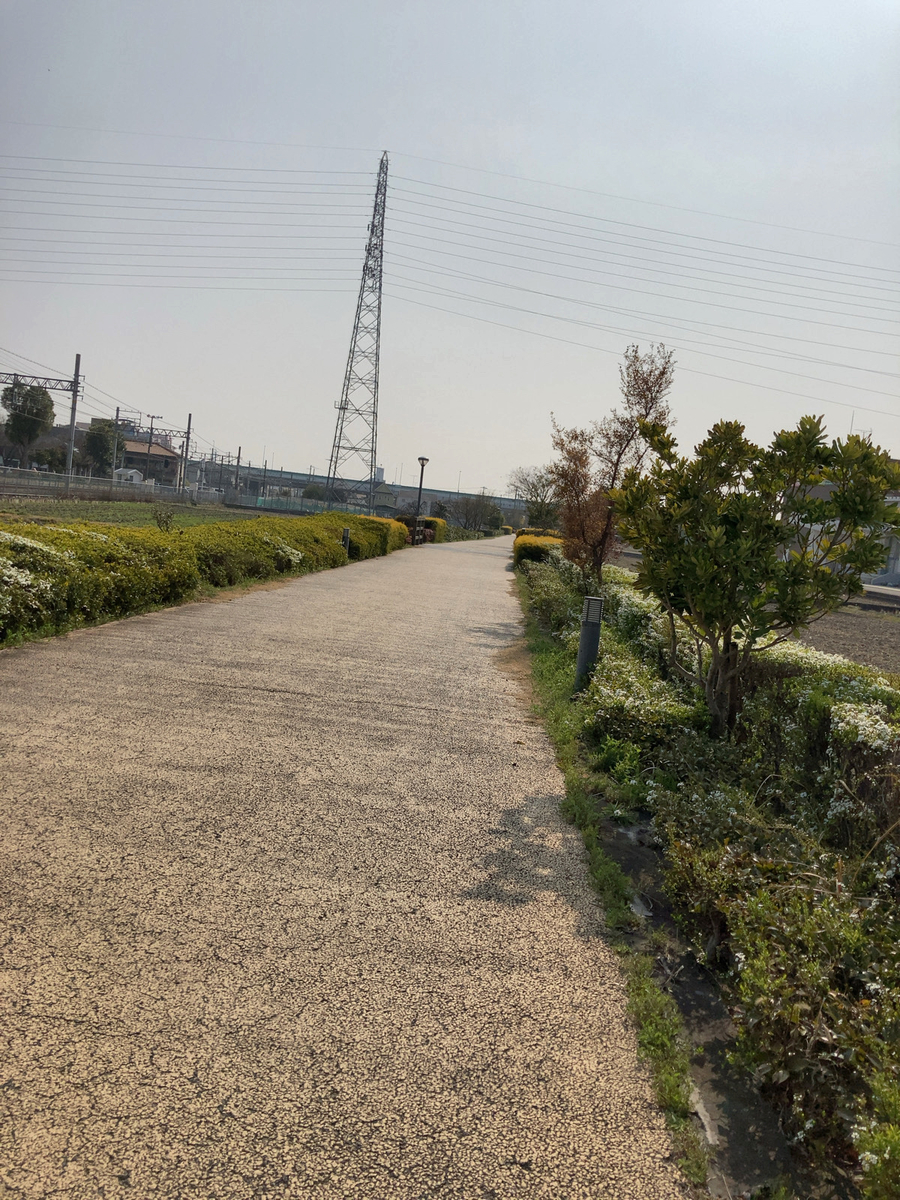 f:id:nehanariake:20210315232030j:plain
