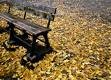 f:id:neimu:20061116145535j:image