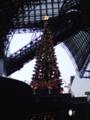 JR京都駅クリスマスツリー