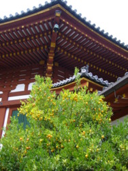f:id:neimu:20081025150014j:image