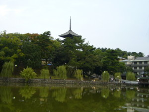f:id:neimu:20081025164854j:image