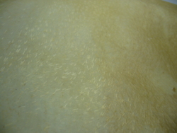 f:id:neimu:20091212131551j:image