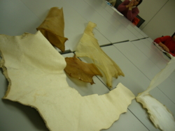 f:id:neimu:20091212131629j:image