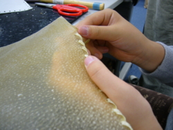 f:id:neimu:20091212144131j:image