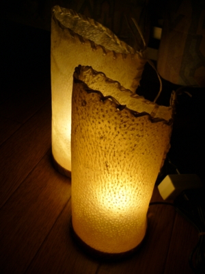 f:id:neimu:20091213220639j:image